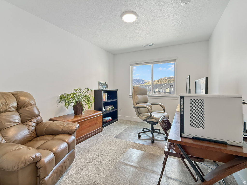 641 W DESERT WILLOW DR Mapleton, UT 84664