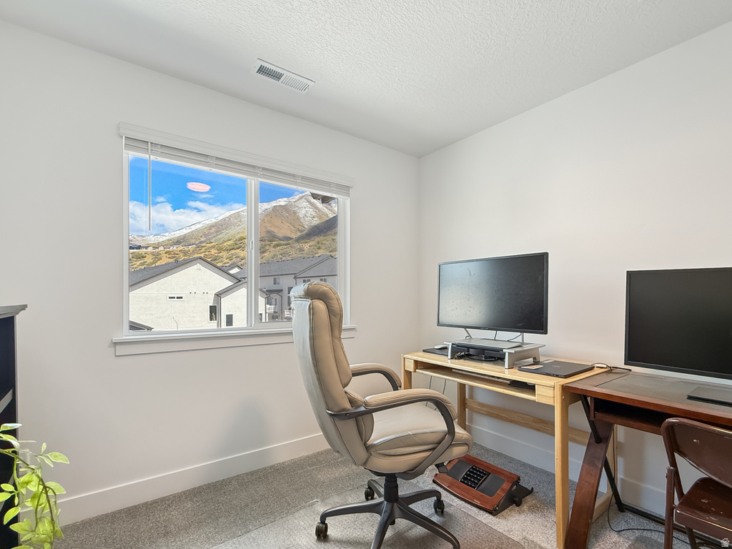 641 W DESERT WILLOW DR Mapleton, UT 84664