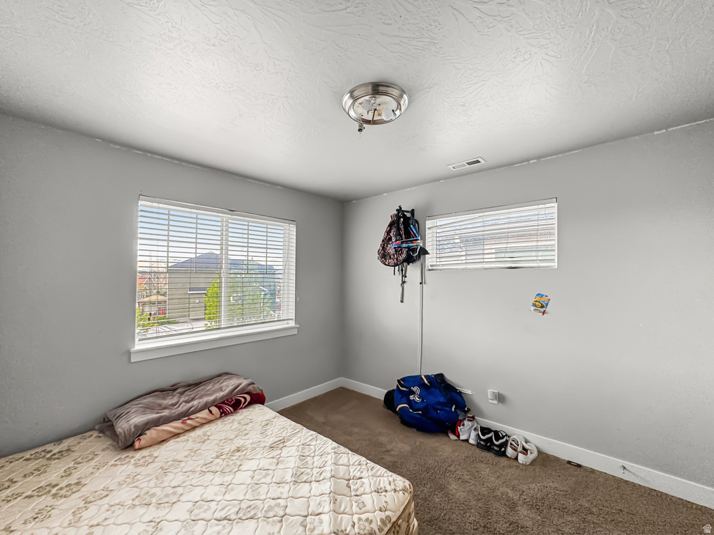 42 N RUE BORDA Vineyard, UT 84059