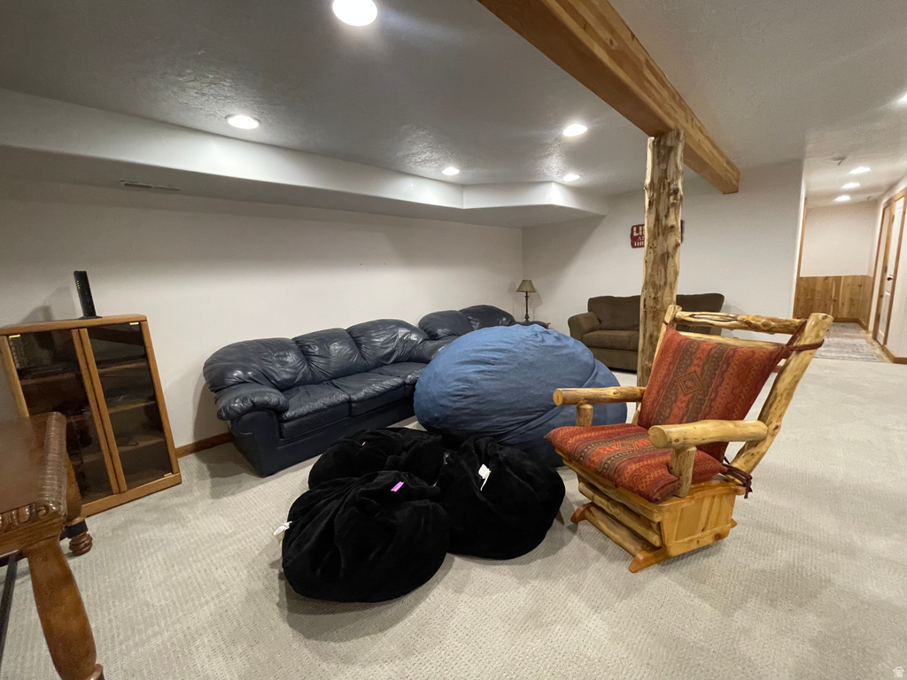 347 COLD SPRINGS DR Fish Haven, ID 83287