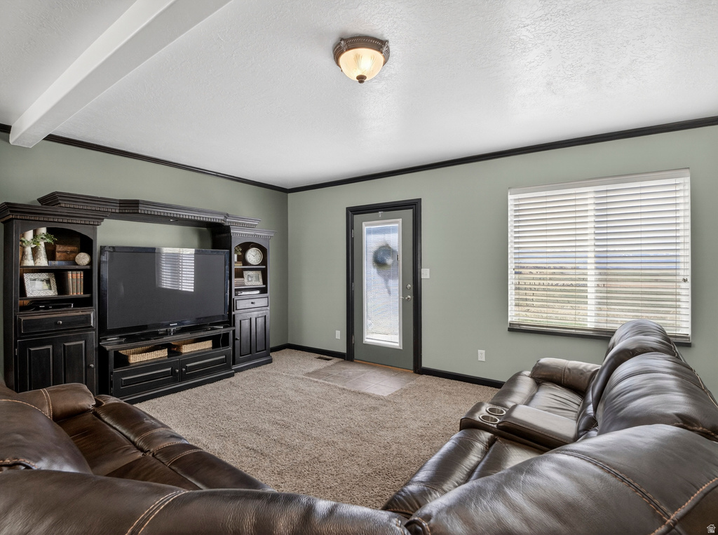 11250 E 27000 N Fairview, UT 84629