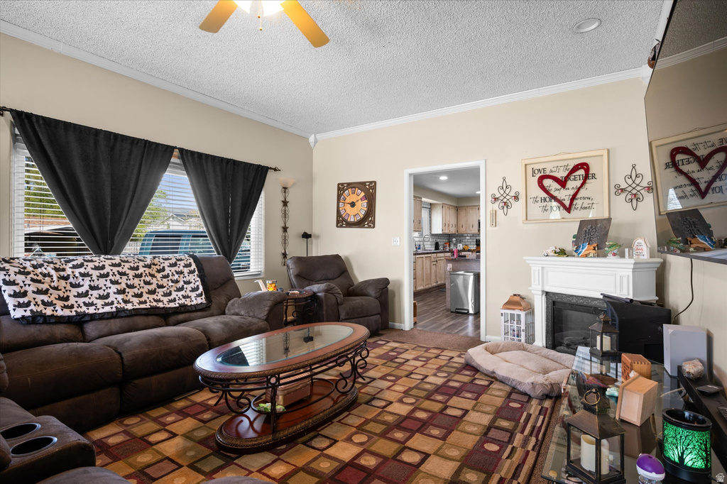 311 E FACTORY ST. Garland, UT 84312