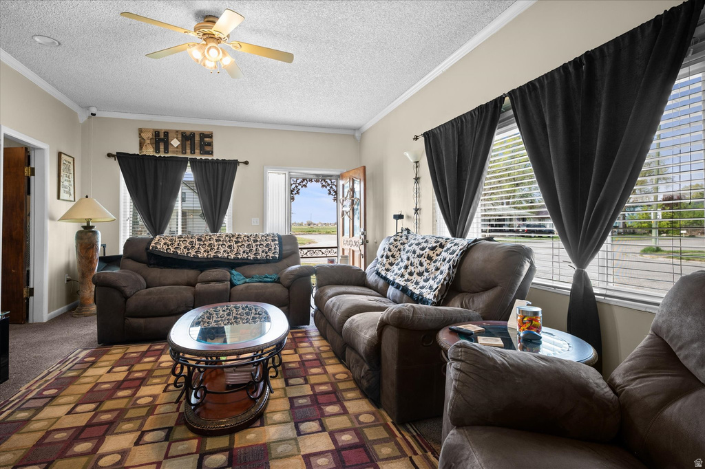 311 E FACTORY ST. Garland, UT 84312