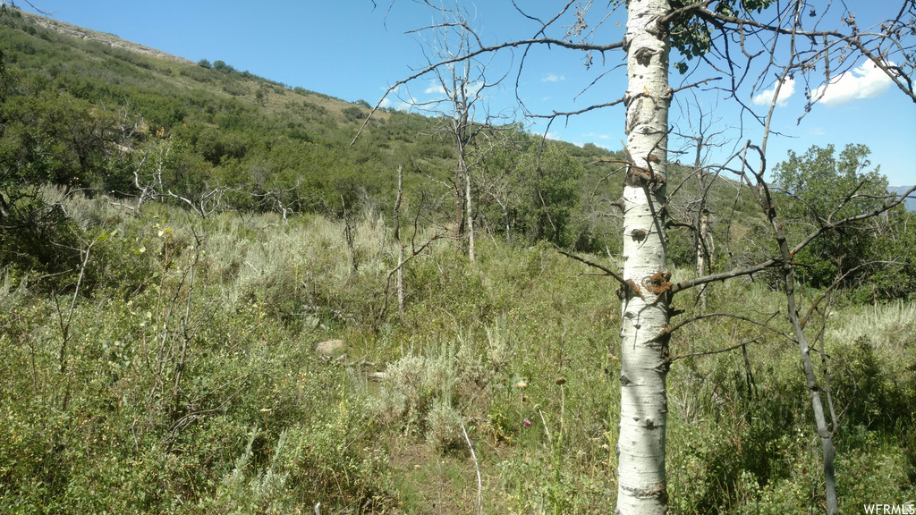 2390 S WESTVIEW DR Heber City, UT 84032