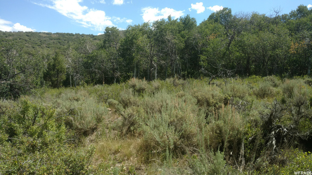 2390 S WESTVIEW DR Heber City, UT 84032