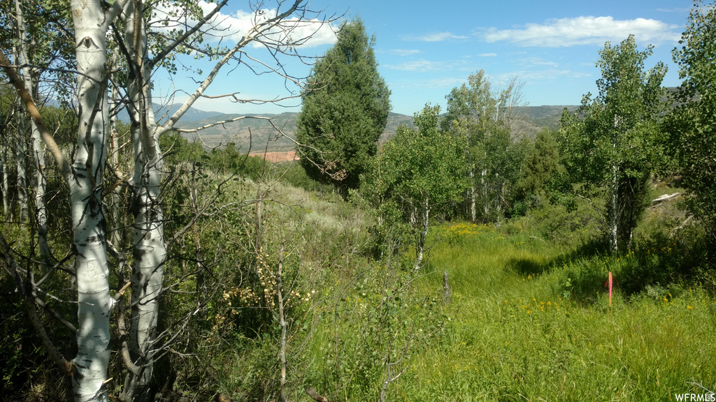 2390 S WESTVIEW DR Heber City, UT 84032