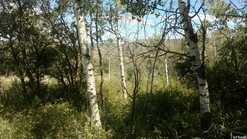 2390 S WESTVIEW DR Heber City, UT 84032