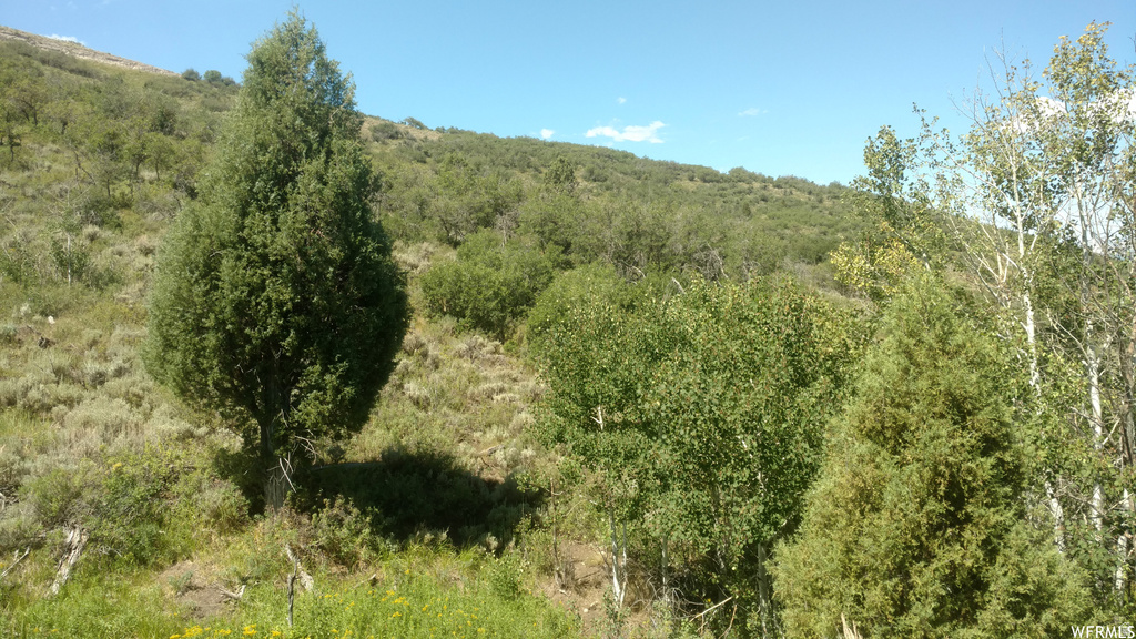 2390 S WESTVIEW DR Heber City, UT 84032