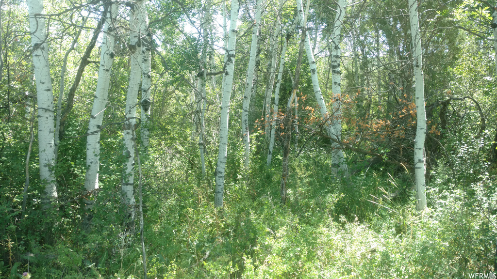 2390 S WESTVIEW DR Heber City, UT 84032