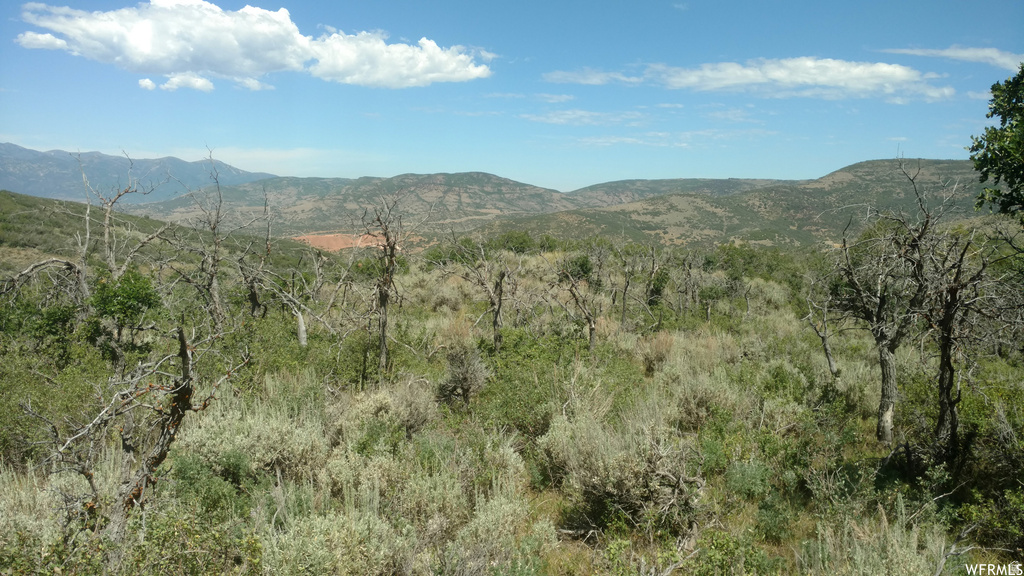 2390 S WESTVIEW DR Heber City, UT 84032