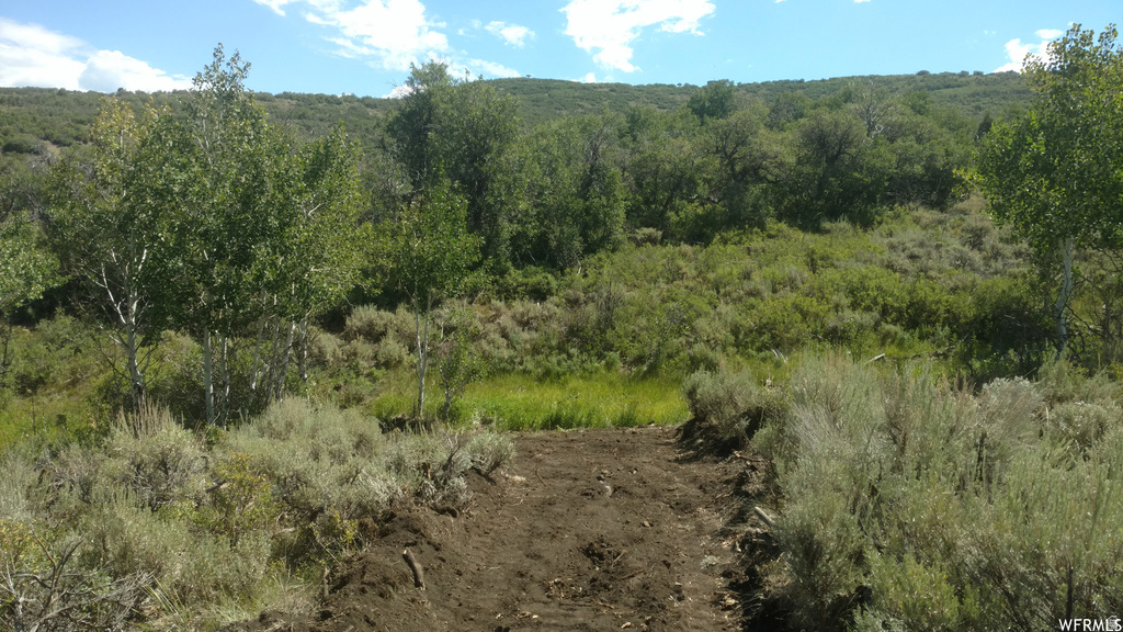 2390 S WESTVIEW DR Heber City, UT 84032