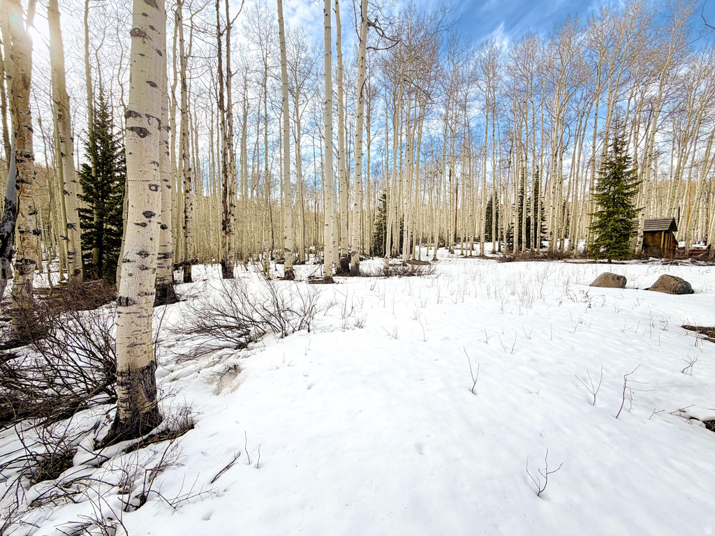 5384 N ROCKY RD Midway, UT 84049