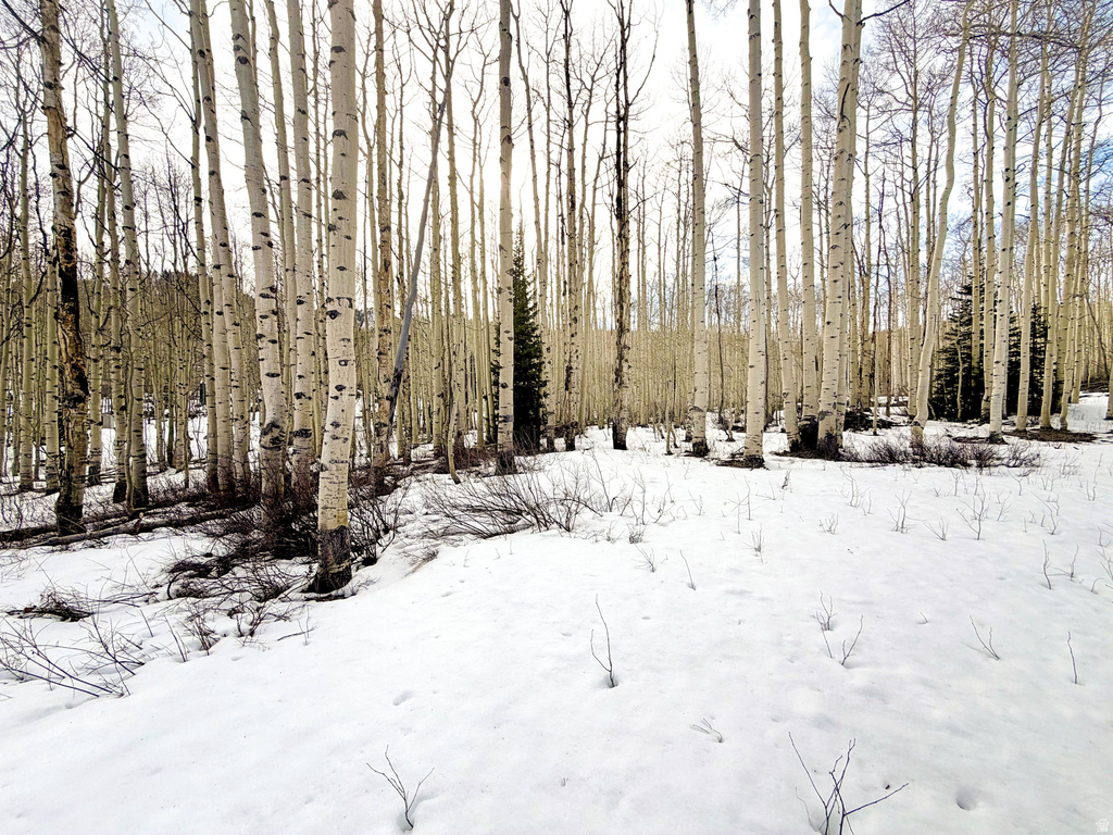 5384 N ROCKY RD Midway, UT 84049