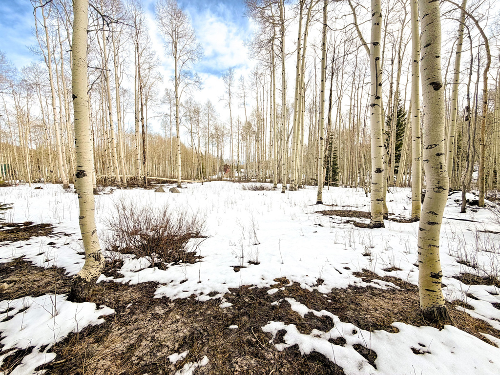 5384 N ROCKY RD Midway, UT 84049