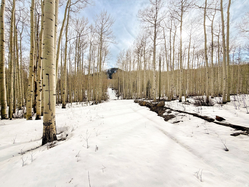 5384 N ROCKY RD Midway, UT 84049