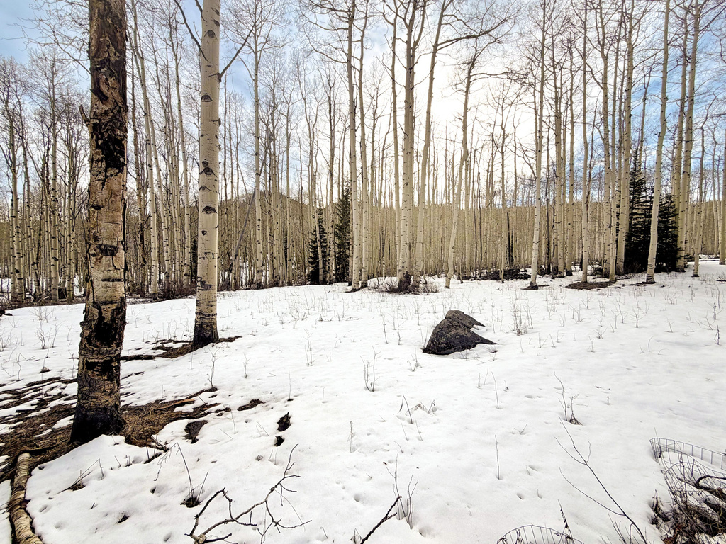 5384 N ROCKY RD Midway, UT 84049