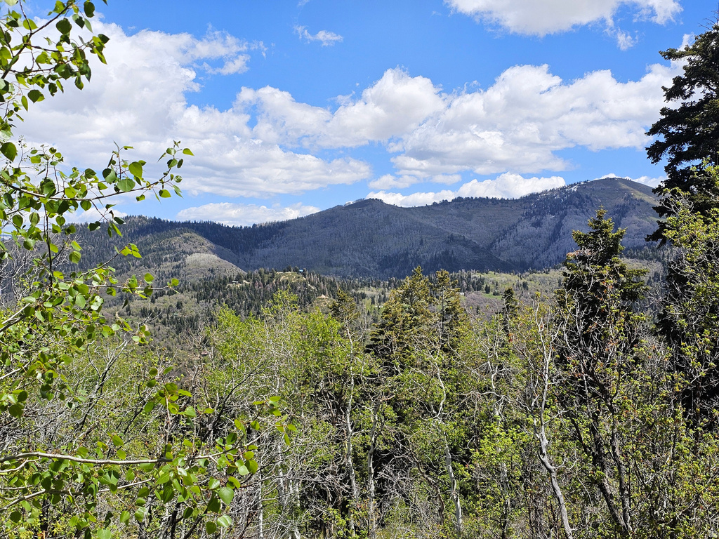 27  PINE RIDGE RD Mt Pleasant, UT 84647