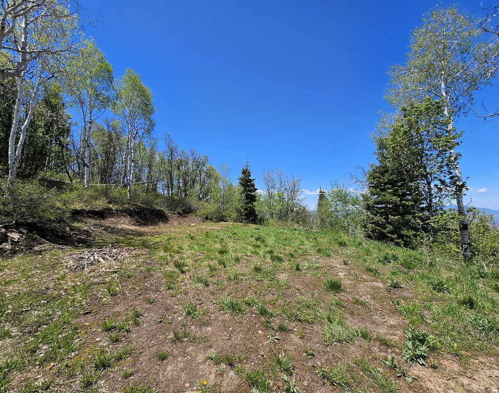 27  PINE RIDGE RD Mt Pleasant, UT 84647