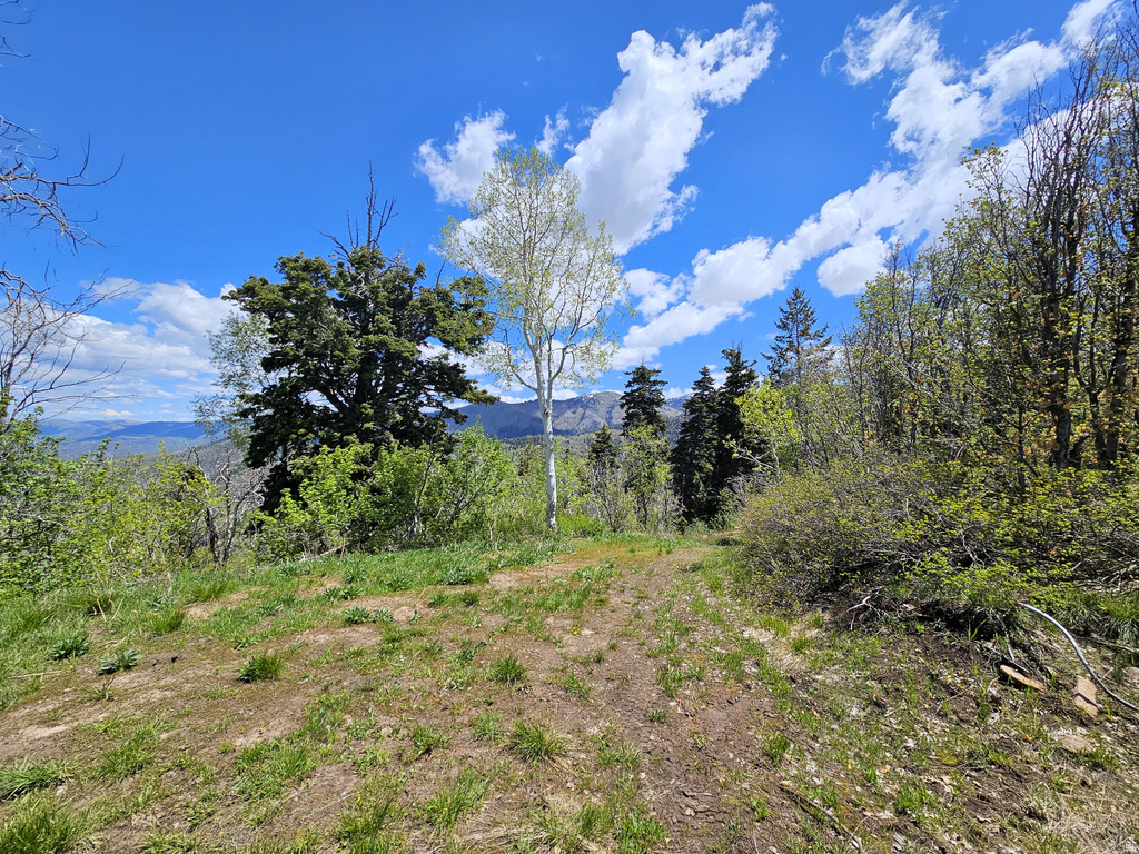 27  PINE RIDGE RD Mt Pleasant, UT 84647