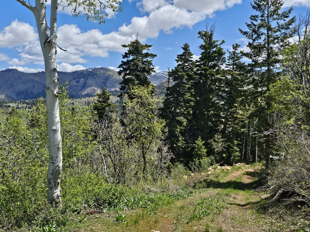 27  PINE RIDGE RD Mt Pleasant, UT 84647