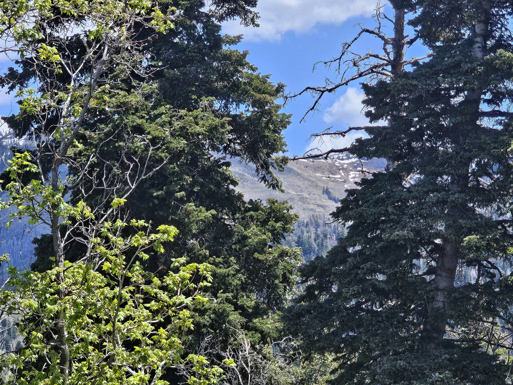 27  PINE RIDGE RD Mt Pleasant, UT 84647