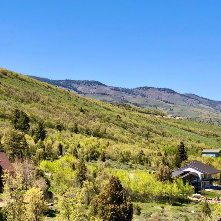 1181  BROADHOLLOW RD Garden City, UT 84028