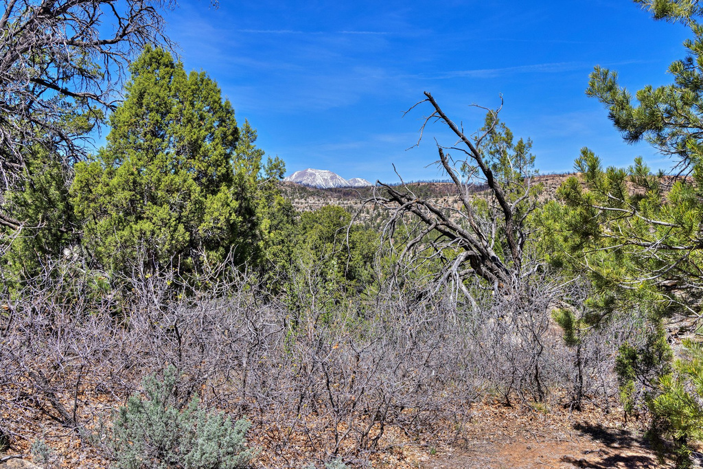 1824  E SR 4 La Sal, UT 84530