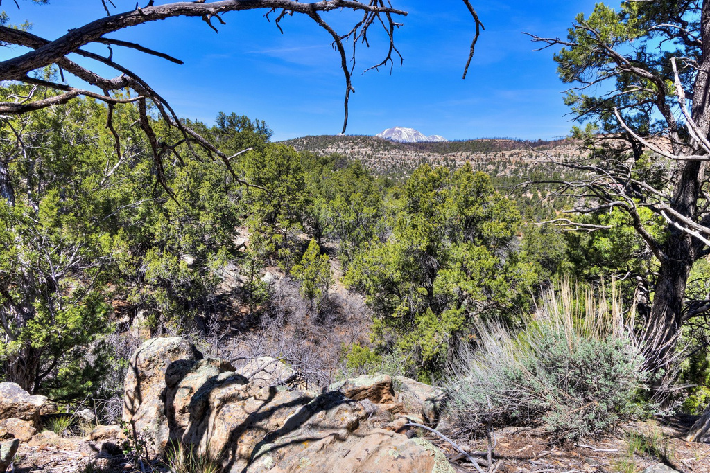 1824  E SR 4 La Sal, UT 84530