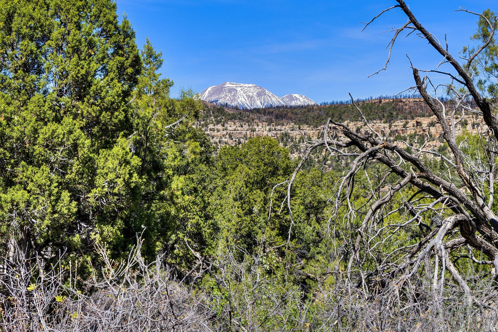 1824  E SR 4 La Sal, UT 84530