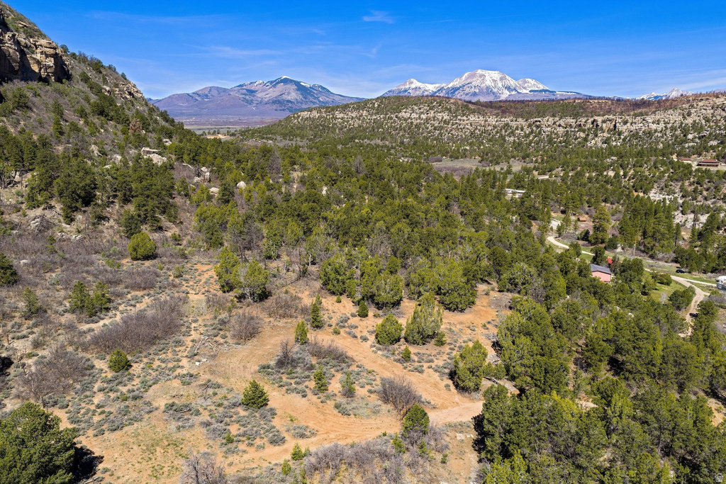 1824  E SR 4 La Sal, UT 84530