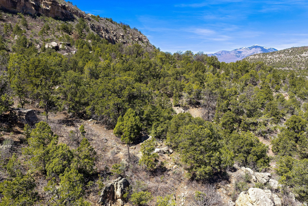 1824  E SR 4 La Sal, UT 84530