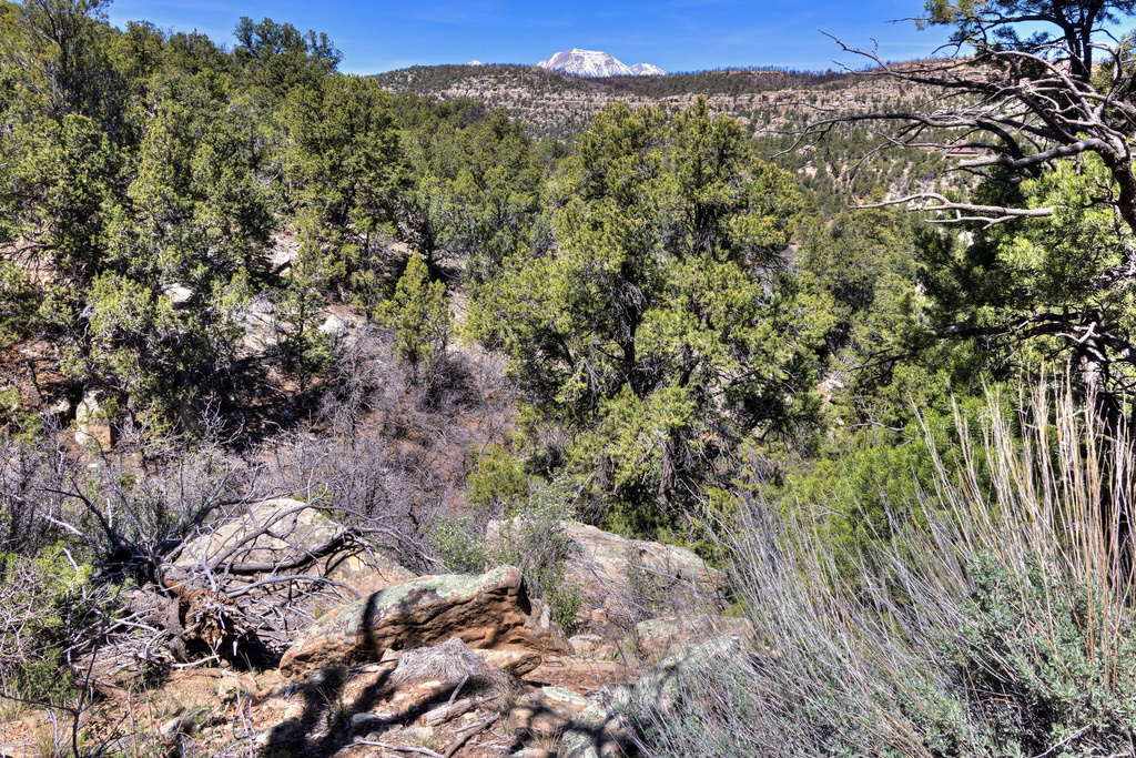 1824  E SR 4 La Sal, UT 84530