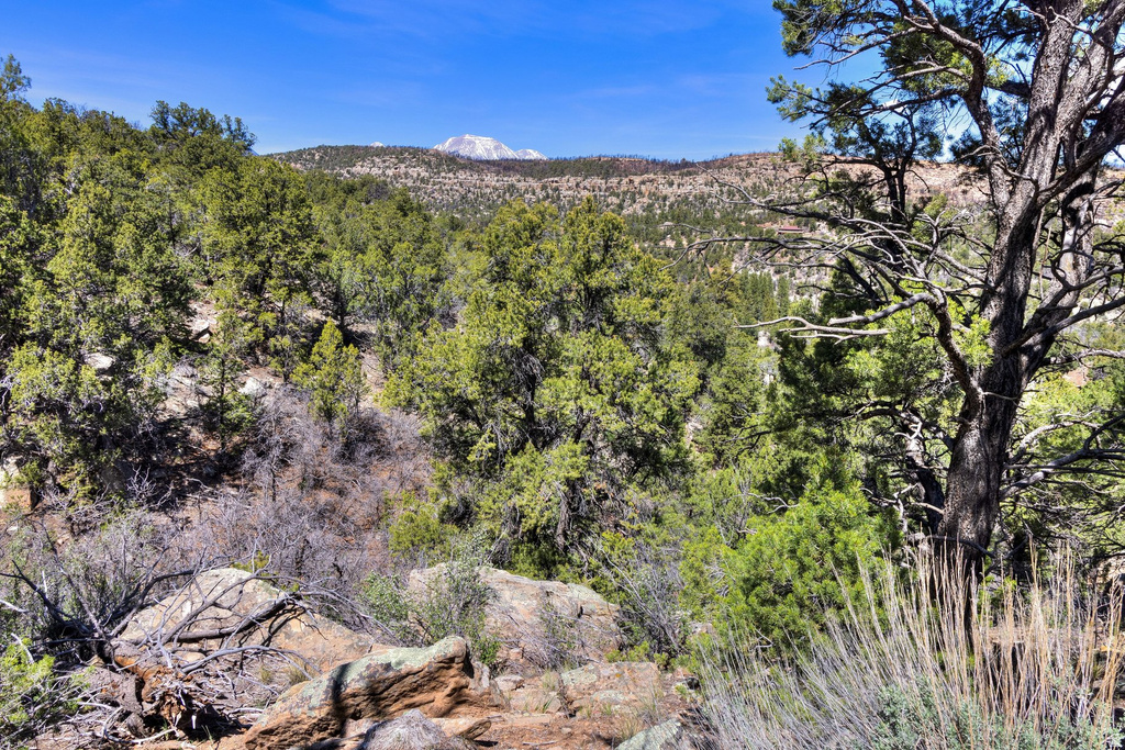 1824  E SR 4 La Sal, UT 84530