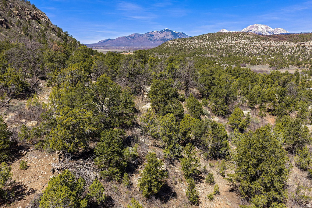 1824  E SR 4 La Sal, UT 84530