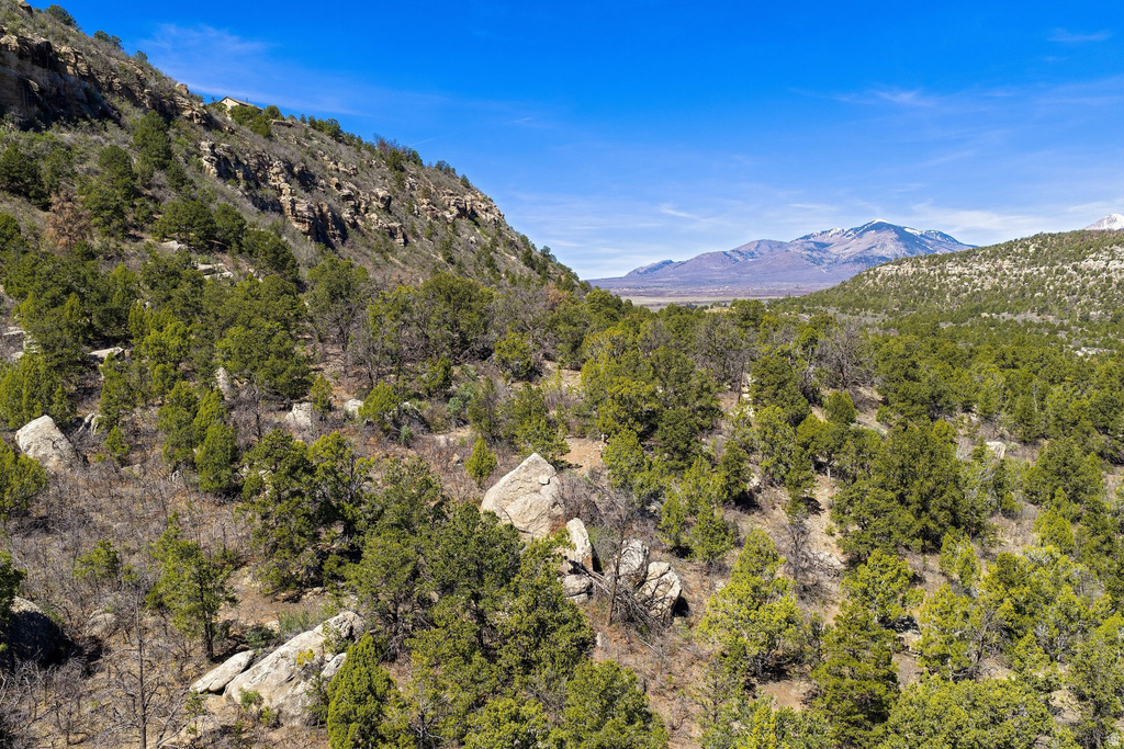 1824  E SR 4 La Sal, UT 84530