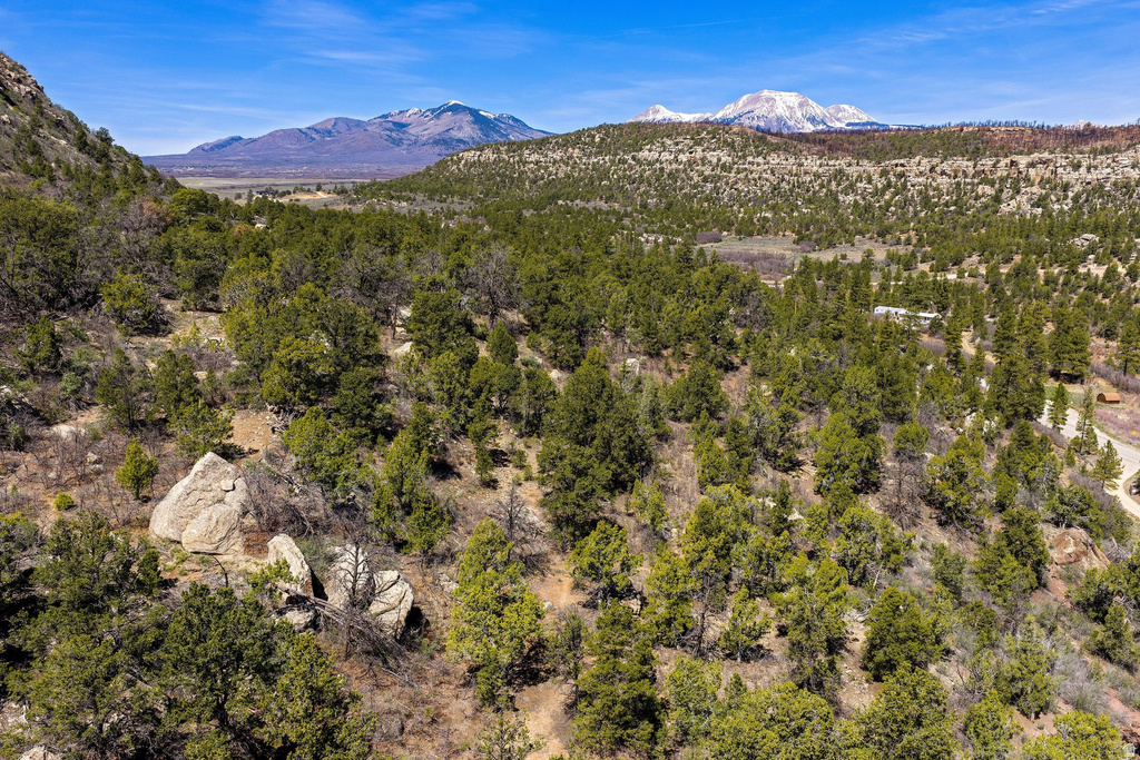 1824  E SR 4 La Sal, UT 84530