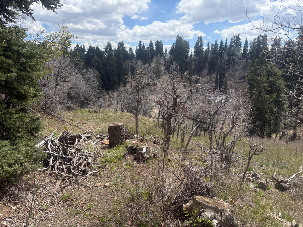 2211  PINE RD Coalville, UT 84017