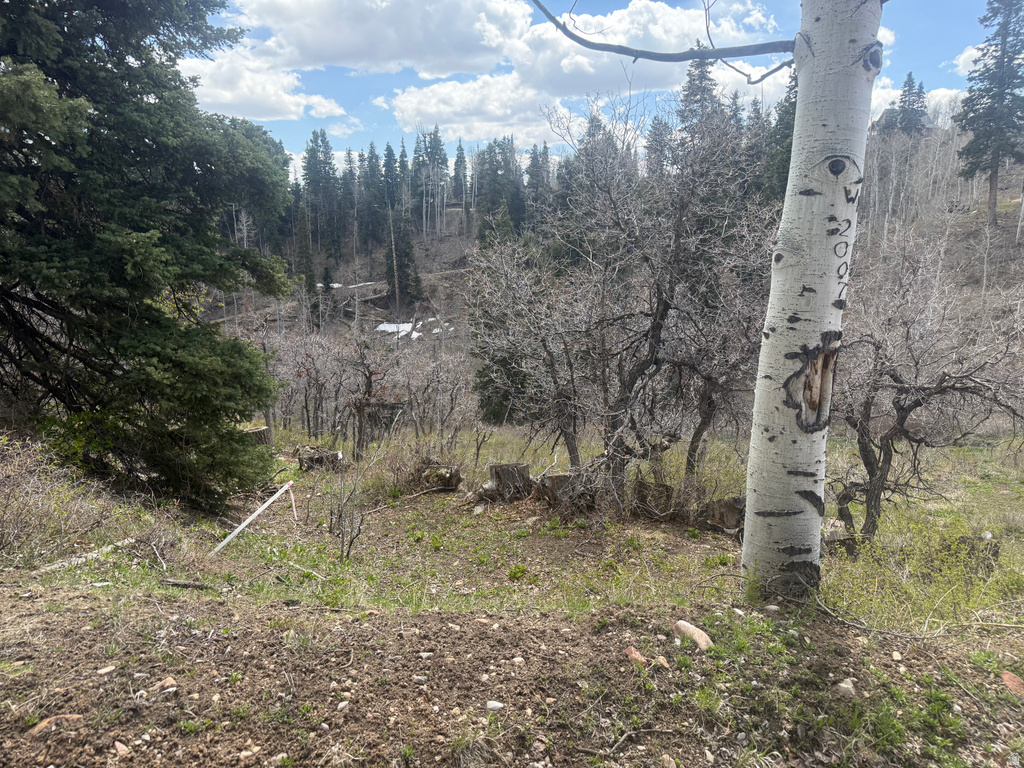 2211  PINE RD Coalville, UT 84017