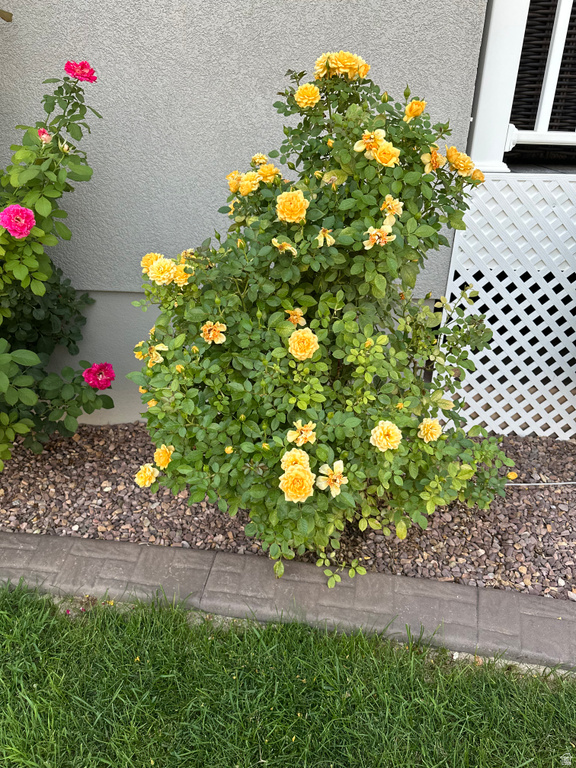 670 N HAYDON WAY Roosevelt, UT 84066