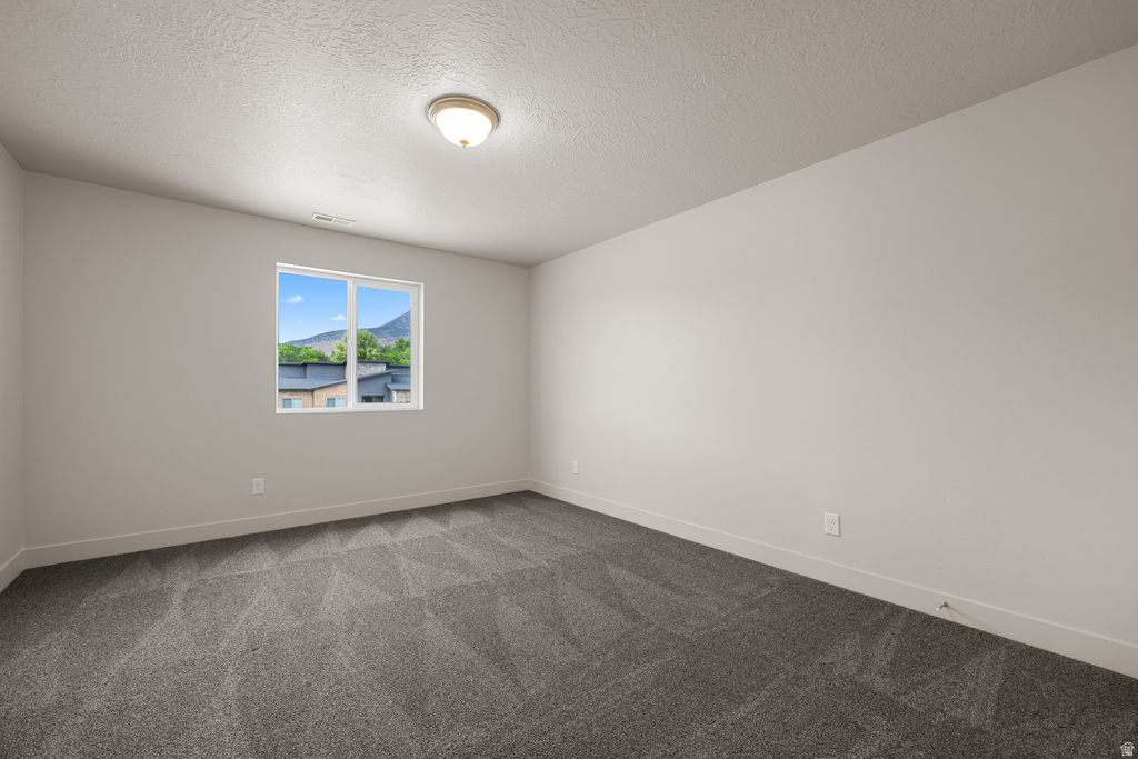 1715 S SAGEBERRY DR #347 Santaquin, UT 84655