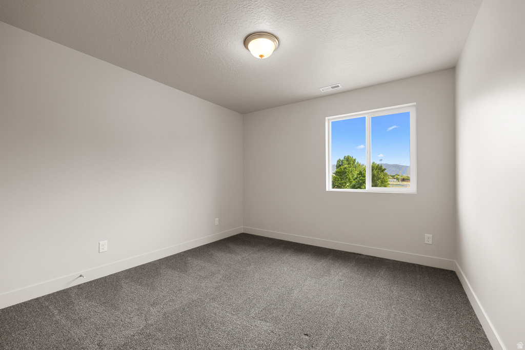 1715 S SAGEBERRY DR #347 Santaquin, UT 84655