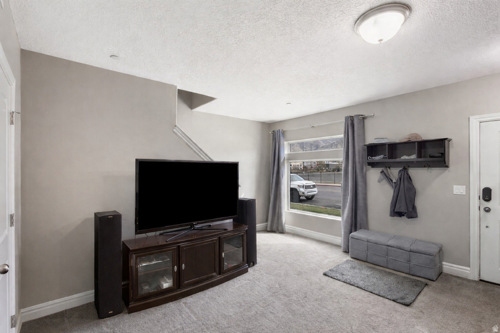 Living area with light carpet and a textured ceiling