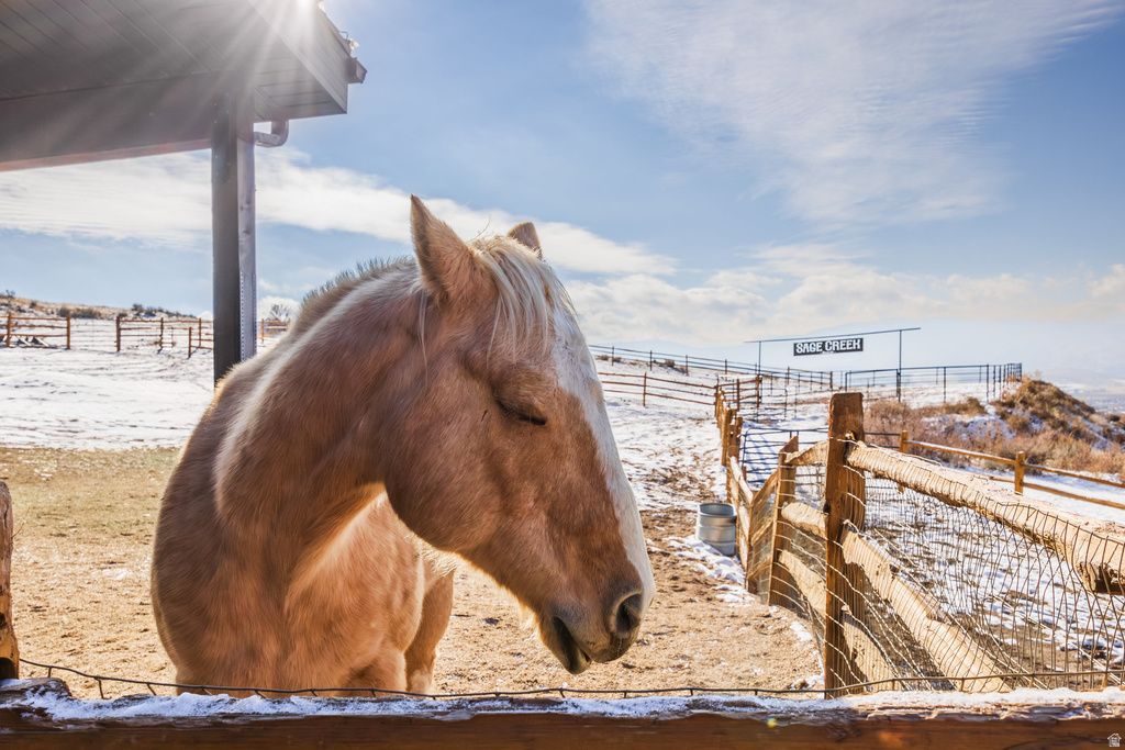 355 N GREENER HILLS LN Heber City, UT 84032