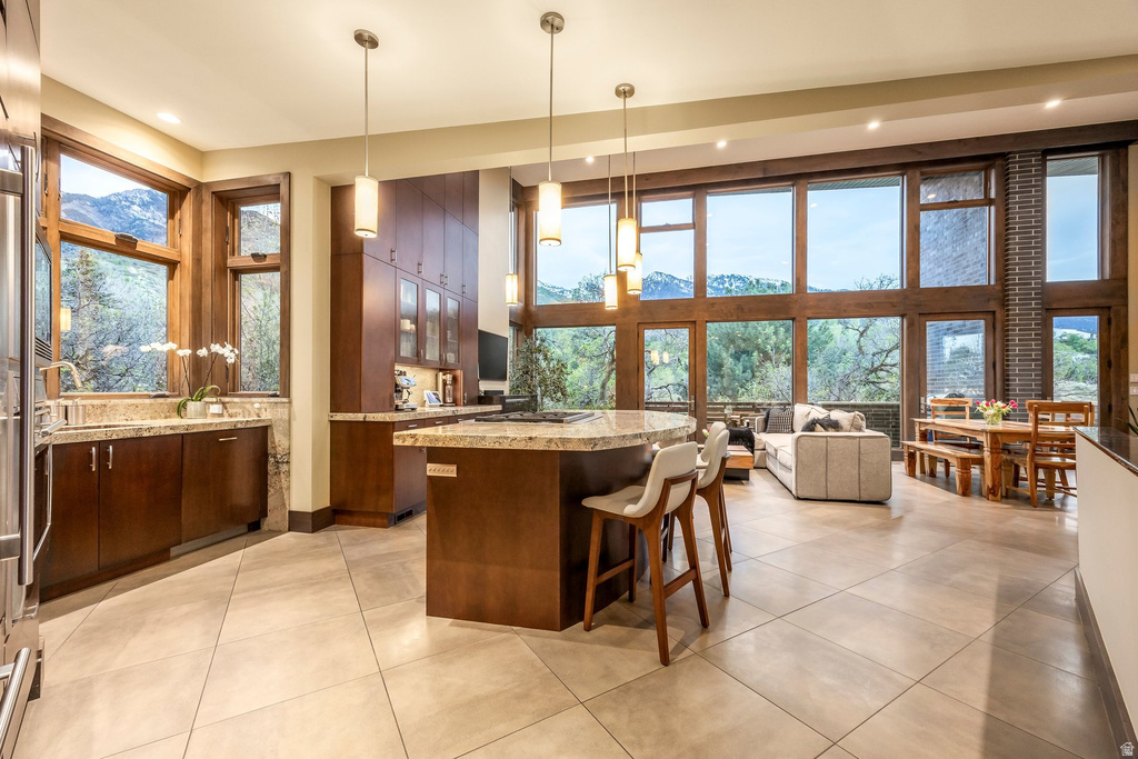 3455 E DANISH RD Cottonwood Heights, UT 84093