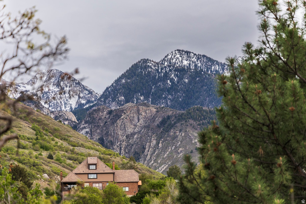 3455 E DANISH RD Cottonwood Heights, UT 84093