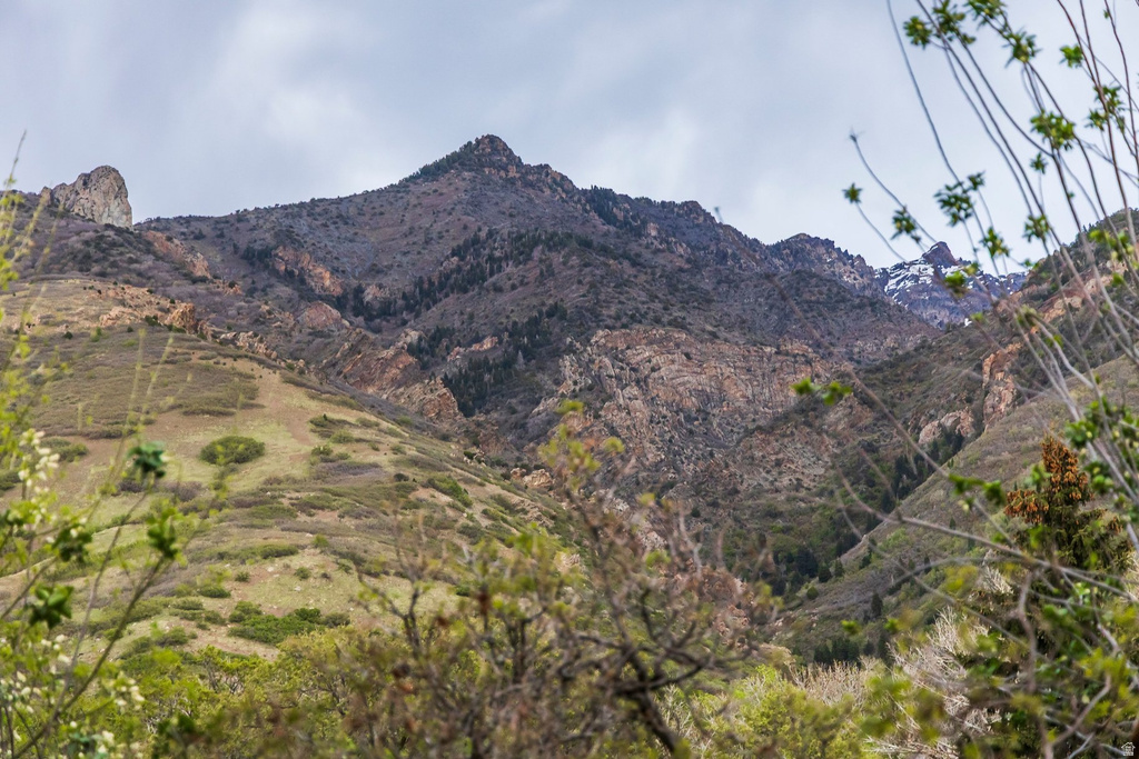 3455 E DANISH RD Cottonwood Heights, UT 84093