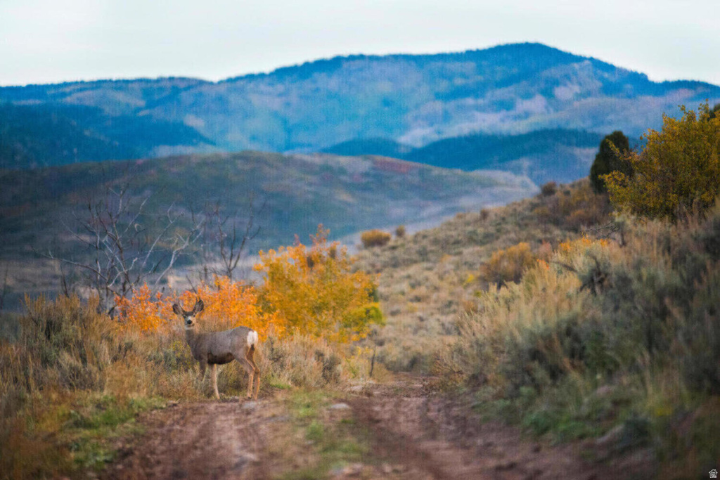 7394 E MOON DR #E.313 Heber City, UT 84032