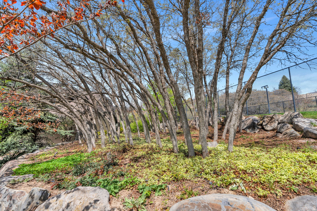 811 S HIGH RIDGE DR Alpine, UT 84004