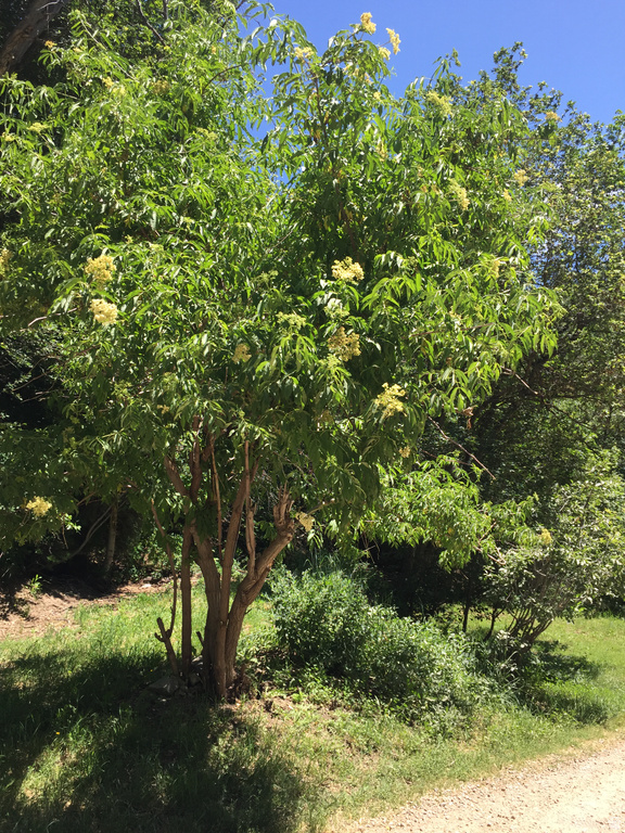 6387 E LEFTHAND LN Emigration Canyon, UT 84108