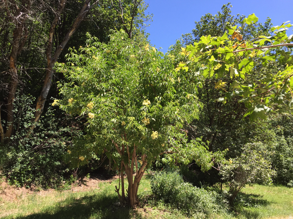 6387 E LEFTHAND LN Emigration Canyon, UT 84108